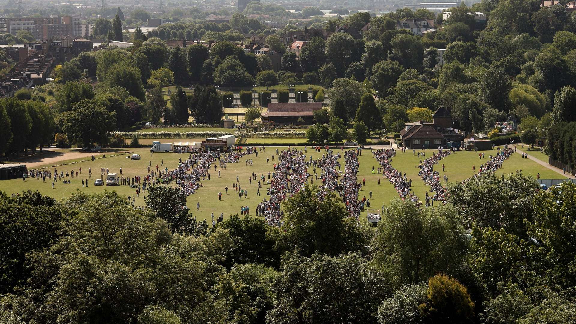 的敏锐嗅觉 的敏锐嗅觉